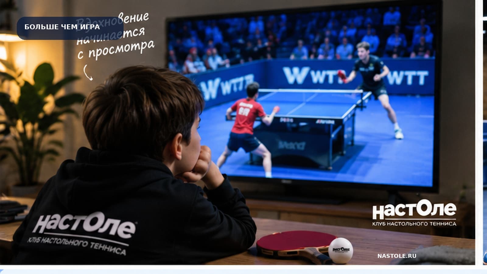 Звёзды мирового настольного тенниса и олимпийские чемпионы